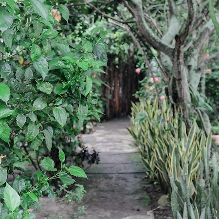 Tiara Homestay Plambi Buitenkant foto