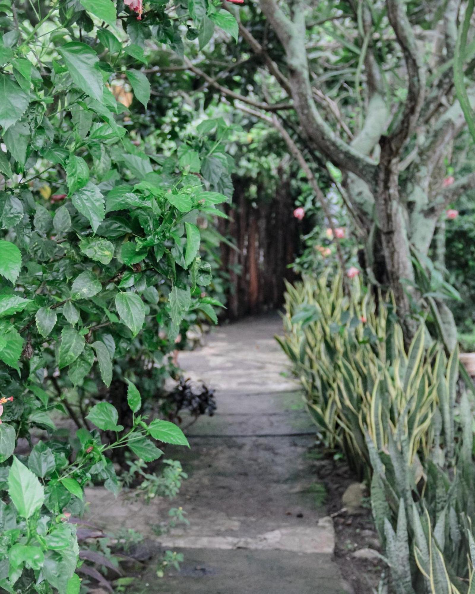 Tiara Homestay Plambi Buitenkant foto